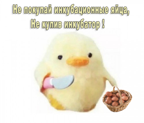 Инфа по яйцам